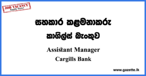 Assistant Manager Finance