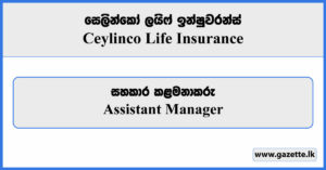 Assistant Manager - Ceylinco Life Insurance Vacancies 2024