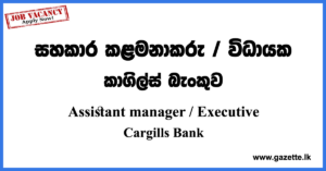 Assistant manager, Executive