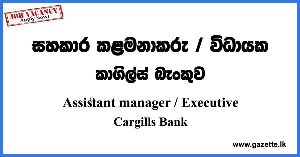 Assistant manager, Executive