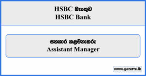 Assistant Manager - HSBC Bank Vacancies 2024