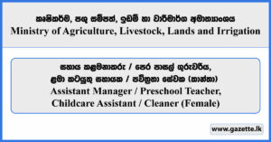 Assistant Manager / Preschool Teacher, Childcare Assistant / Cleaner - Ministry of Agriculture, Livestock, Lands and Irrigation Vacancies 2026