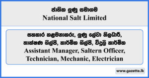 Assistant Manager, Saltern Officer, Technician, Mechanic, Electrician - National Salt Limited Vacancies 2024