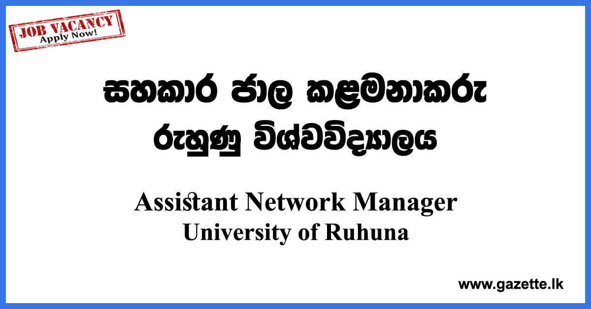 Assistant Network Manager Vacancies