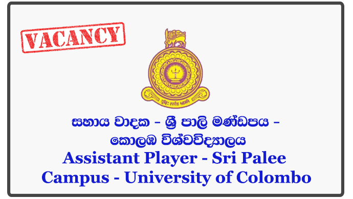 Assistant Player - Sri Palee Campus - University of Colombo