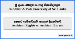 Assistant Registrar, Assistant Bursar - Buddhist & Pali University of Sri Lanka Vacancies 2025