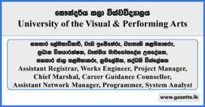Assistant Registrar, Works Engineer, Project Manager, Chief Marshal, Career Guidance Counsellor, Assistant Network Manager, Programmer, System Analyst - University of the Visual & Performing Arts Vacancies 2025