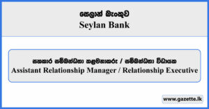 Assistant Relationship Manager / Relationship Executive - Seylan Bank Vacancies 2026