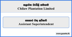 Assistant Superintendent - Chilaw Plantation Limited Vacancies 2026