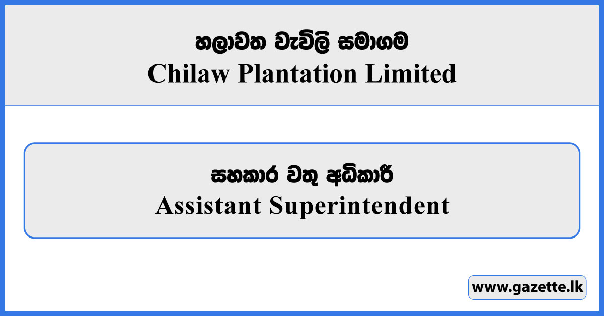 Assistant Superintendent - Chilaw Plantation Limited Vacancies 2026