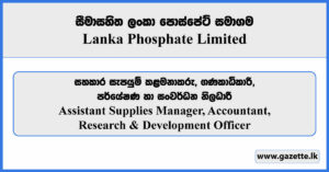 Assistant Supplies Manager, Accountant, Research and Development Officer - Lanka Phosphate Limited Vacancies 2025
