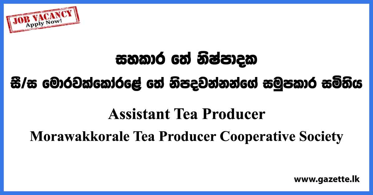 Assistant Tea Producer - Morawakkorale Tea Producers' Cooperative Society