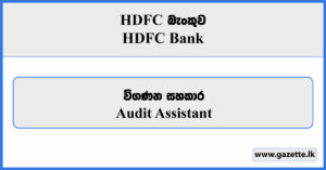 Audit Assistant - HDFC Bank Vacancies 2023