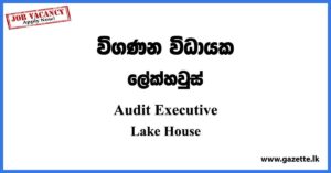 Audit Executive - Lake House Vacancies 2023