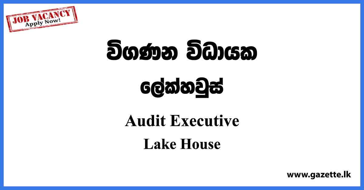 Audit Executive - Lake House Vacancies 2023