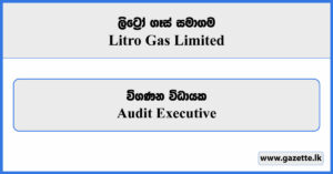 Audit Executive - Litro Gas Limited Vacancies 2025