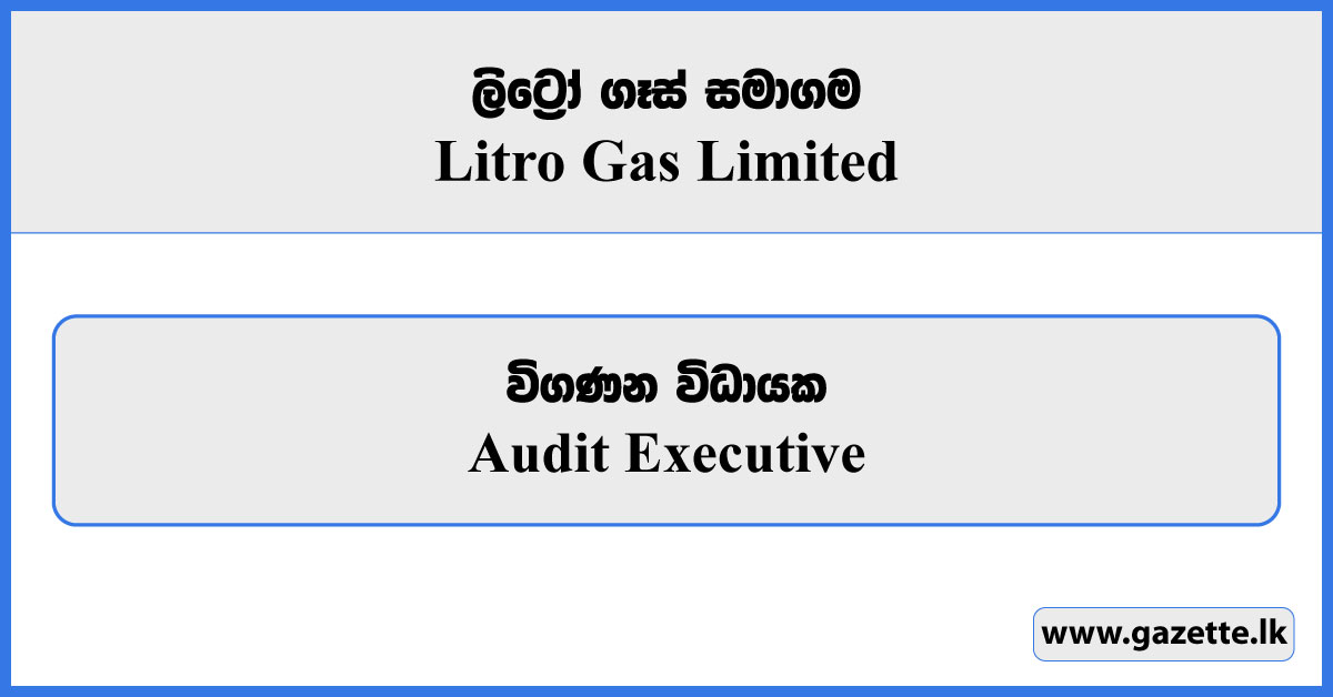 Audit Executive - Litro Gas Limited Vacancies 2025