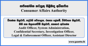 Audit Officer, System Administration, Confidential Secretary, Investigation Officer, Legal & Enforcement Officer, Assistant Director - Consumer Affairs Authority Vacancies 2026