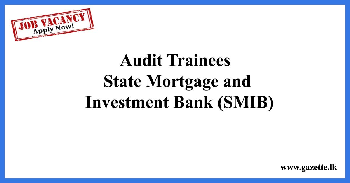 Audit Trainees