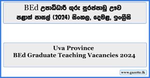 BEd-Graduate-Teaching-Vacancies-2024