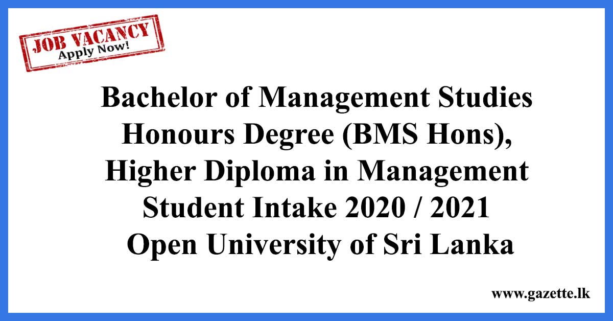 Bachelor-of-Management-Studies