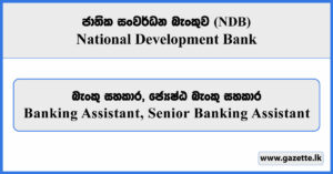 Banking Assistant, Senior Banking Assistant - National Development Bank Vacancies 2025