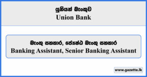 Banking Assistant, Senior Banking Assistant - Union Bank Vacancies 2024