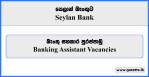 Banking Assistant Vacancies 2023 - Seylan Bank Vacancies