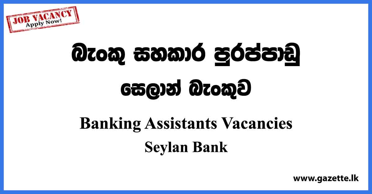 Banking Assistants Vacancies 2023 - Seylan Bank Vacancies