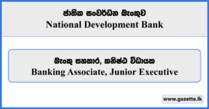 Banking Associate, Junior Executive - National Development Bank Vacancies 2024