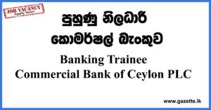 Banking-Trainee