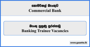 Banking Trainee Vacancies 2024 - Commercial Bank
