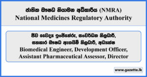 Biomedical Engineer, Development Officer, Assistant Pharmaceutical Assessor, Director - NMRA Vacancies 2026