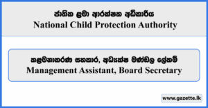 Management Assistant, Board Secretary - National Child Protection Authority Vacancies 2025