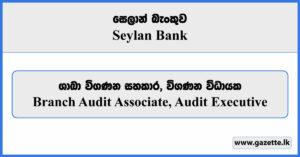 Branch Audit Associate, Audit Executive - Seylan Bank Vacancies 2024