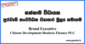 Brand-Executive-CDB-www.gazette.lk