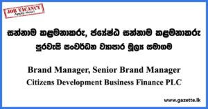 Brand Manager, Senior Brand Manager - Citizens Development Business Finance PLC Vacancies