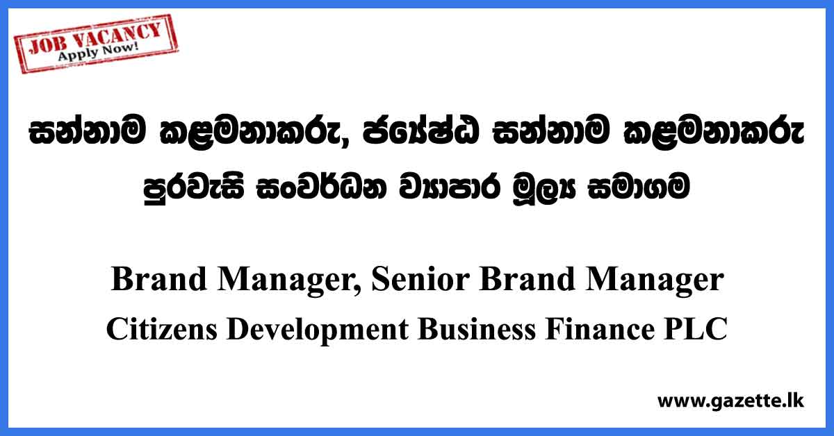 Brand Manager, Senior Brand Manager - Citizens Development Business Finance PLC Vacancies