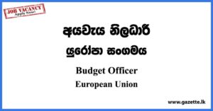 Budget Officer - European Union Vacancies 2023