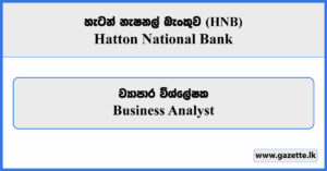 Business Analyst - Hatton National Bank (HNB) Vacancies 2026