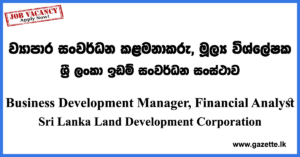 Business Development Manager, Financial Analyst