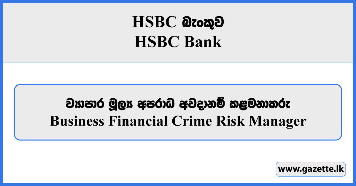 Business Financial Crime Risk Manager - HSBC Bank Vacancies 2024