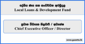 Chief Executive Officer, Director - Local Loans And Development Fund Vacancies 2025