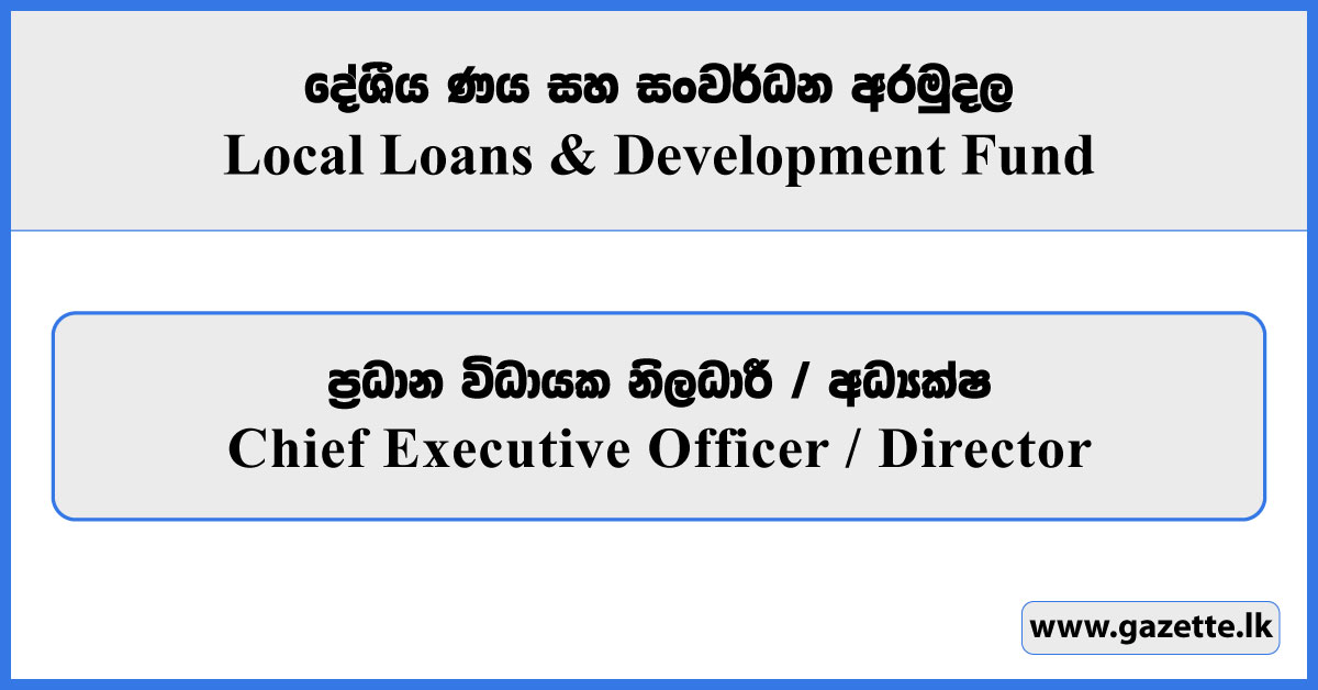 Chief Executive Officer, Director - Local Loans And Development Fund Vacancies 2025