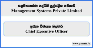 Chief Executive Officer - Management Systems Private Limited Vacancies 2024