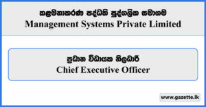 Chief Executive Officer - Management Systems Private Limited Vacancies 2025