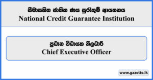 Chief Executive Officer - National Credit Guarantee Institution Vacancies 2024