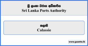 Calassie - Sri Lanka Ports Authority Vacancies 2026