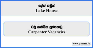 Carpenter Vacancies - Lake House Vacancies 2024