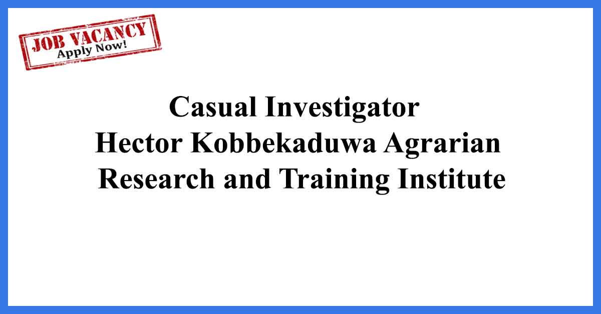 Casual Investigator